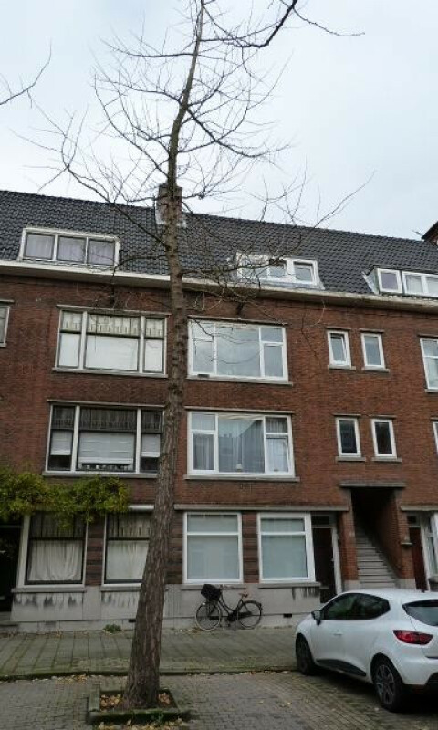 Delfgaauwstraat
