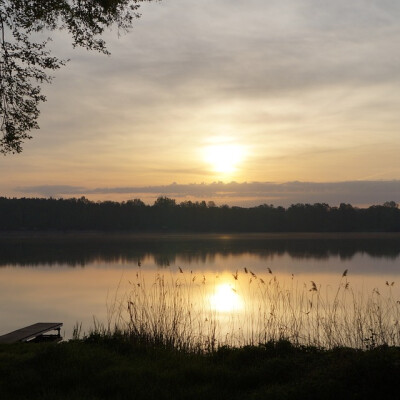 Melissa zoekt een Studio / Appartement / Huurwoning / Woonboot in Rotterdam